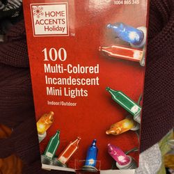 100 Multi-colored Incandescent Mini Lights 