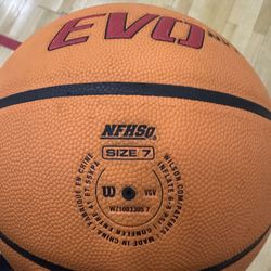 Wilson Evolution Basketballs 