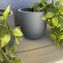 Fake Plants