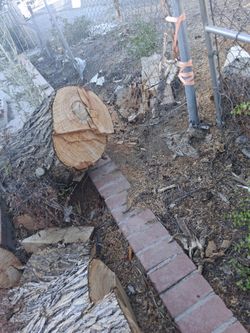 Free fire Wood