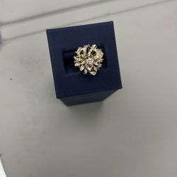 Cluster Ring 