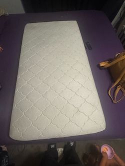 Crib and newton mattress