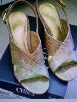 New croc heels chaps