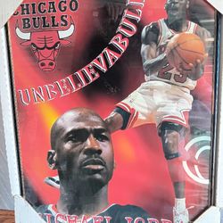 Michael Jordan  Collectors Picture For Sale 