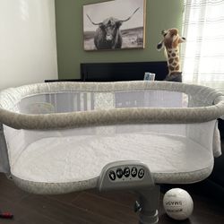 Halo Bassinet