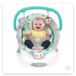 Bright Starts Baby Bouncer