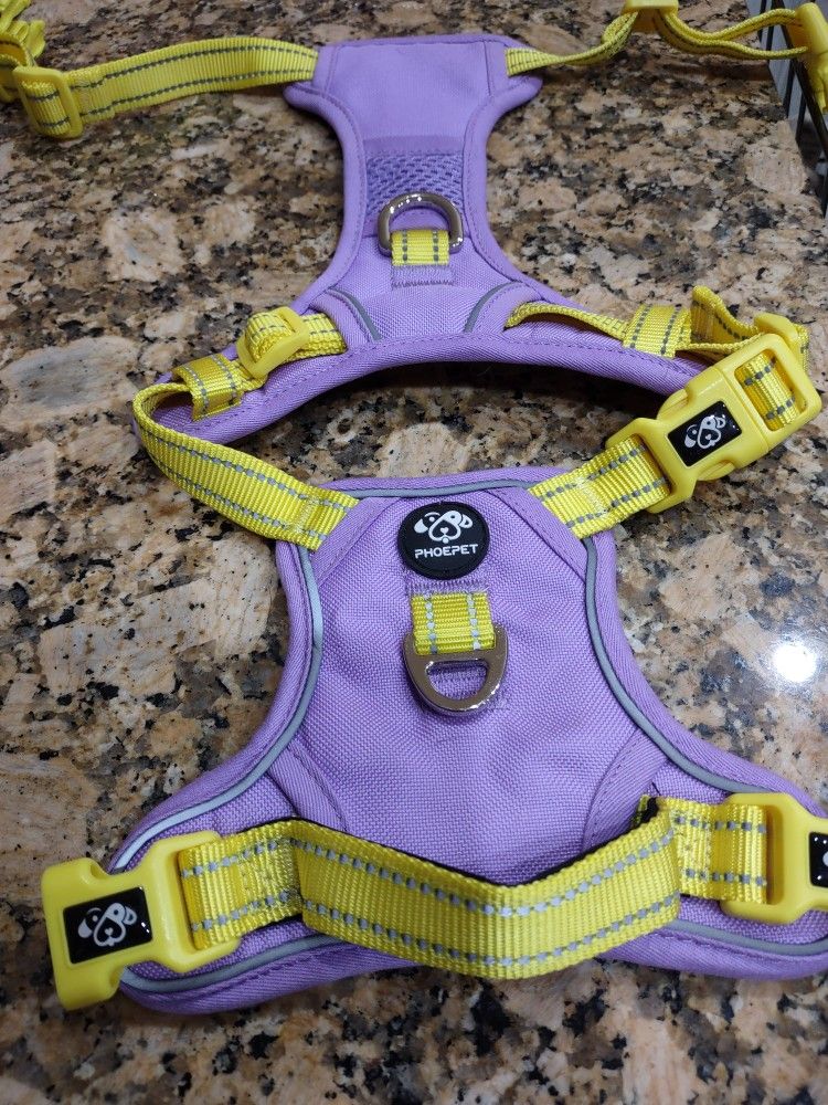 Dog Harness And Chain Collar