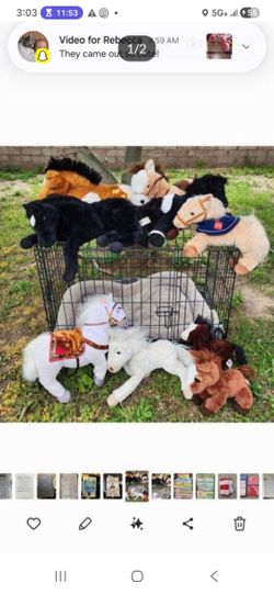 Ponies, See 11 Pics, $5 - $20 Each