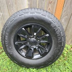 17" Stock Rims