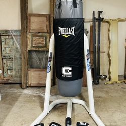Power Strike Exerforce Stand, Everlast C3 Punching Bag and gloves