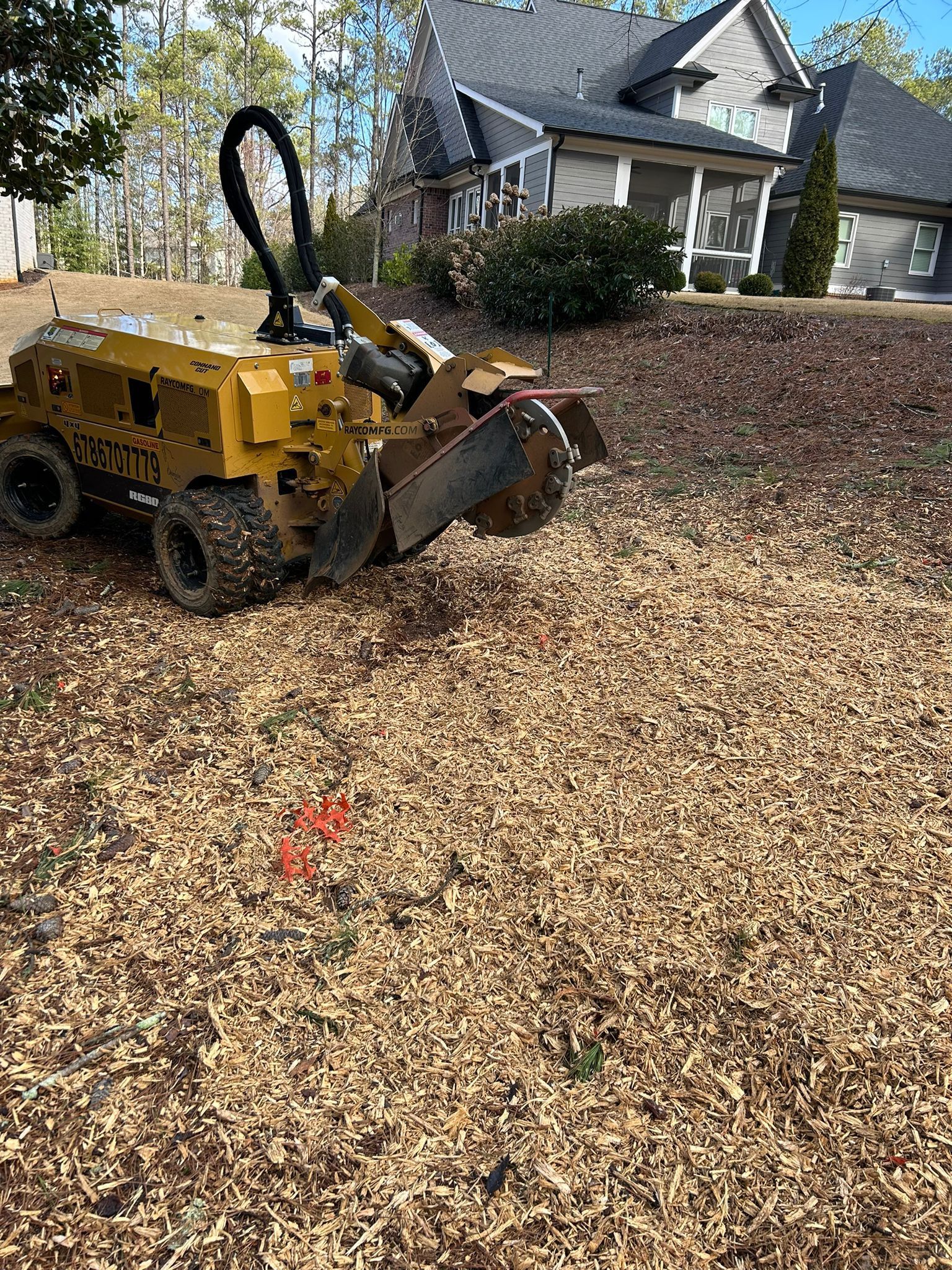 Stump Grinding