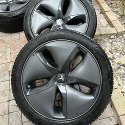 Tesla Model 3 Wheels And Tires 
