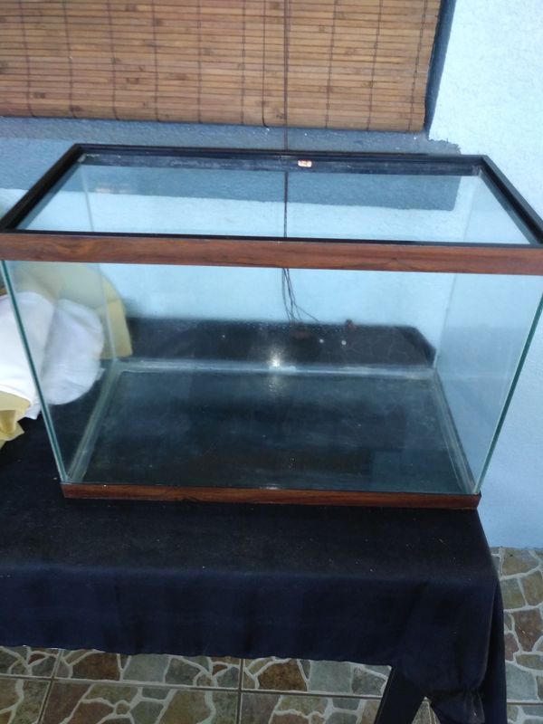 30 gallon reptile tank for Sale in Lakeland, FL OfferUp