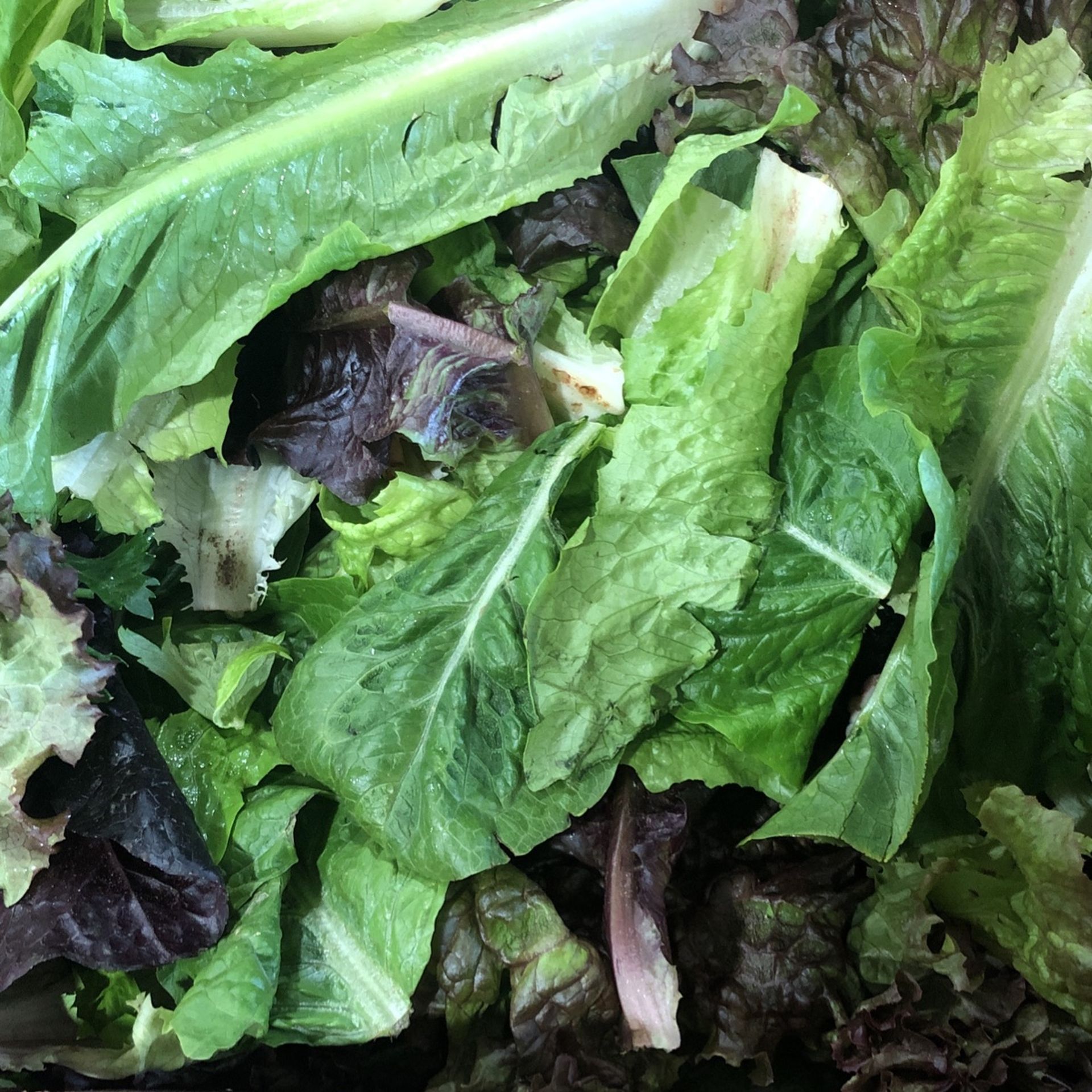 Greens/lettuce