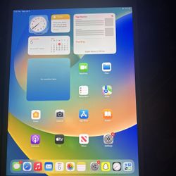 iPad Pro 