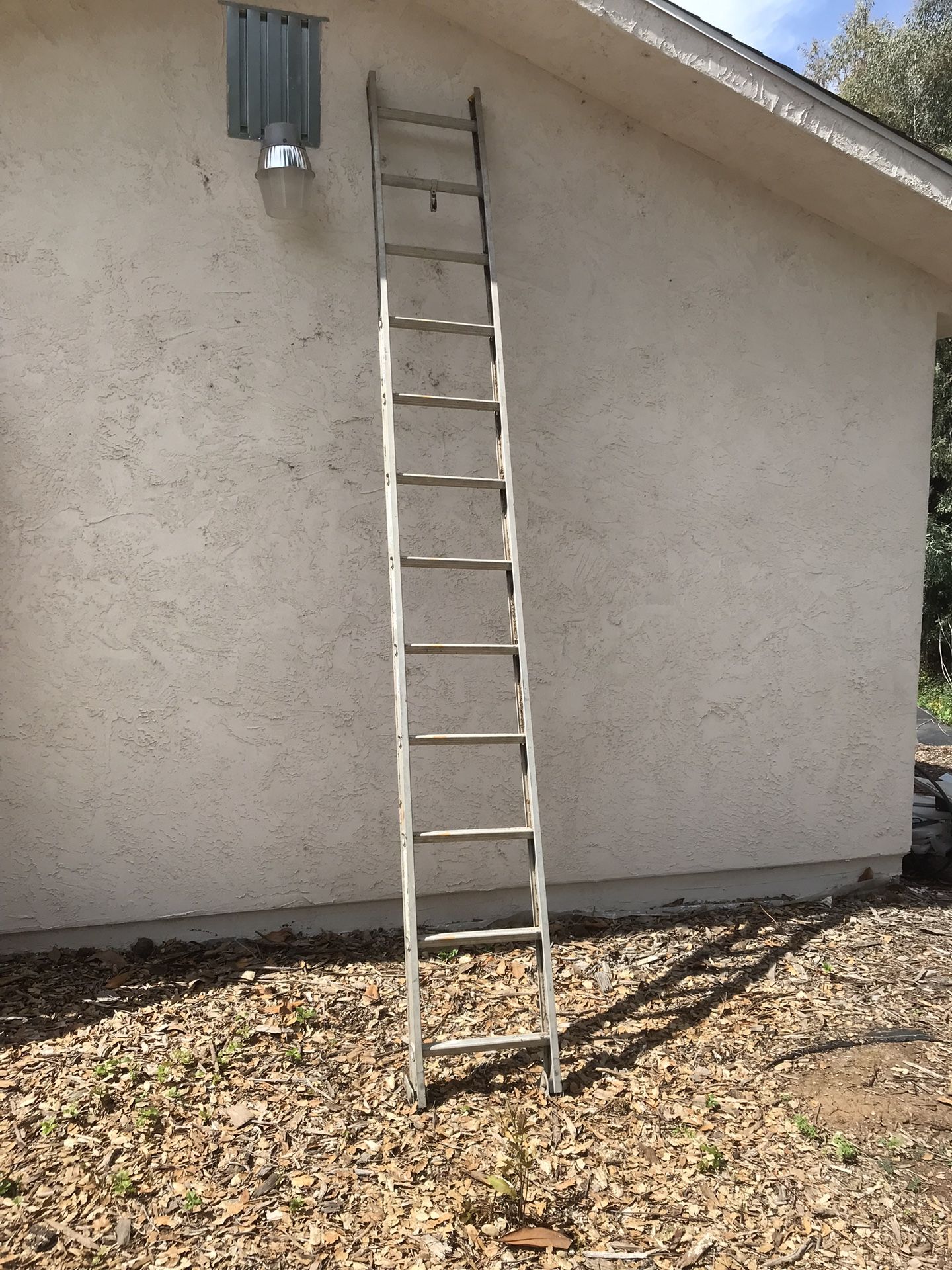 12 Ft Ladder, Werner