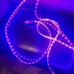 Small String of led Purple