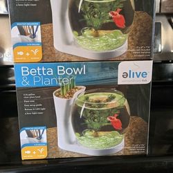 Betta Bowl 