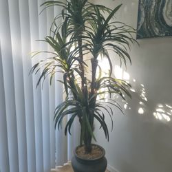 FAKE TALL PLANT ALMOST LIKE  REAL VERY BEAUTIFUL 