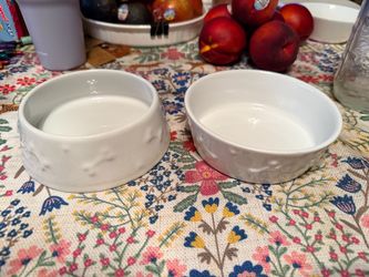 Dog bowls for food and water