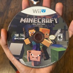 Minecraft Wii U