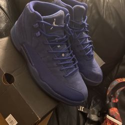 Jordan 12 