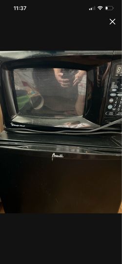 Mini Fridge