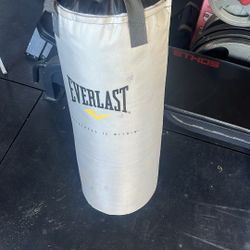 Everlast Punching Bag 