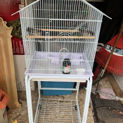 Bird Cage