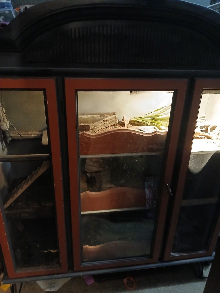 Reptile Enclosure