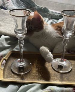 Mikasa candlestick holders