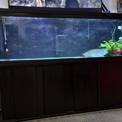 125gallons tanks, fish and everything