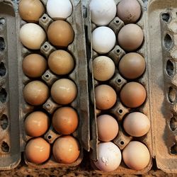 Fresh Eggs $4.00 Dozen,if Post Is Up It’s Available 