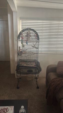 birdcage Large