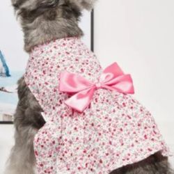 Girl Dog Dress  XL 