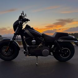 2015 Harley Davison Fat Bob