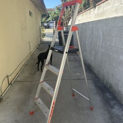 Little Giant 6’ Ladder