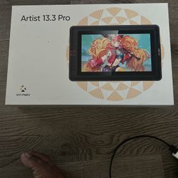 Xp Pen Artist Pro 13.3