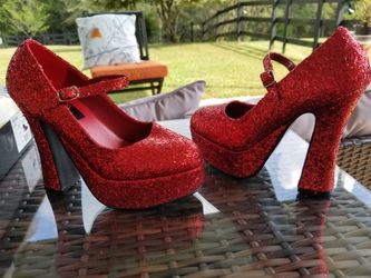 Ruby Slippers & Dorothy Costume W / Size 7 red heels