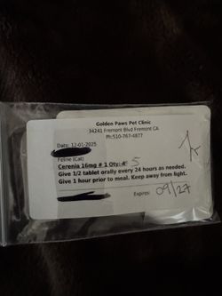 cerenia for Cats Nauseous