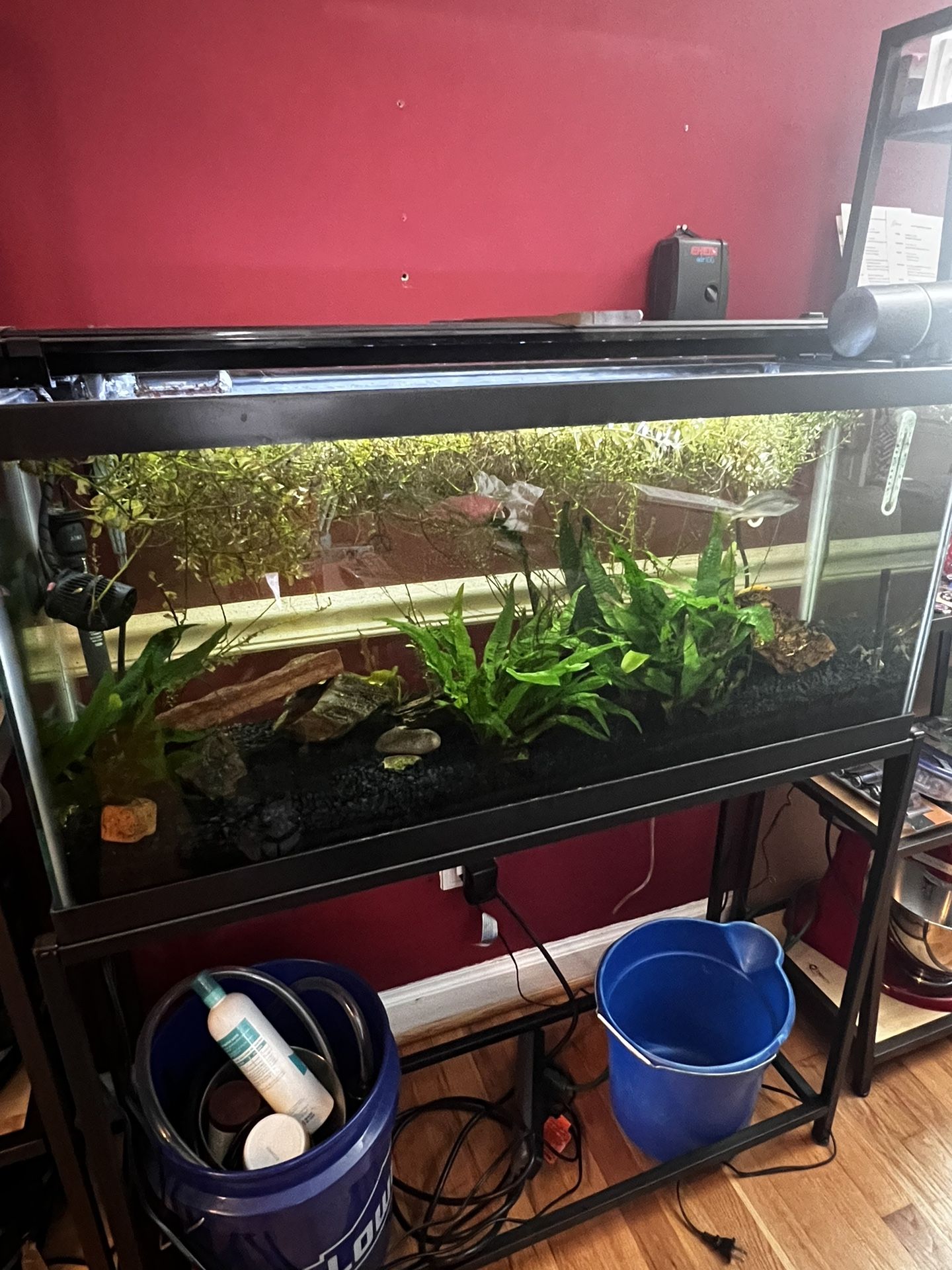 30 Gallon Aquarium