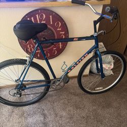 Vintage 90s Raleigh 