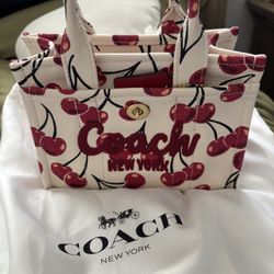 Coach Cargo 20