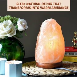 Himalayan Pink Salt Lamp