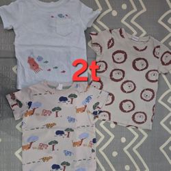 Animal Boys Tees