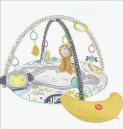 Fisherprice tummy time mat