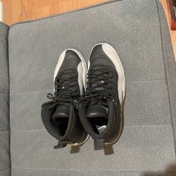 Jordan 12 Wolf Grey And Dc 