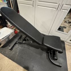 Adjustable Workout Bench - Titan Fitness