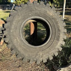 Giant tire