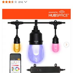 Hampton Bay Indoor/Outdoor 12-Light 24 ft. Smart Plug-in Edison Bulb RGBW Color Changing LED String Light Powered by Hubspace